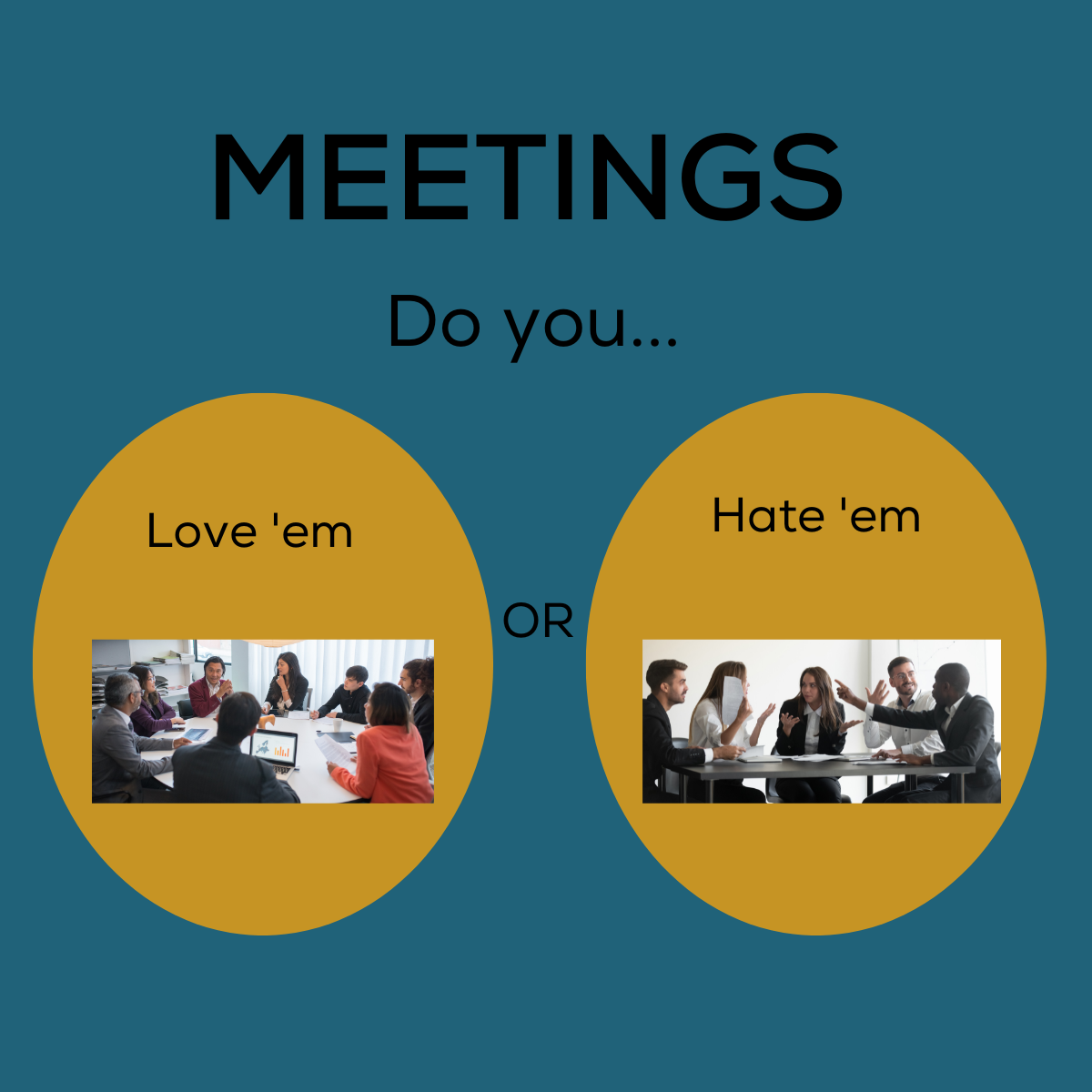 Do you love or hate your Team Meetings