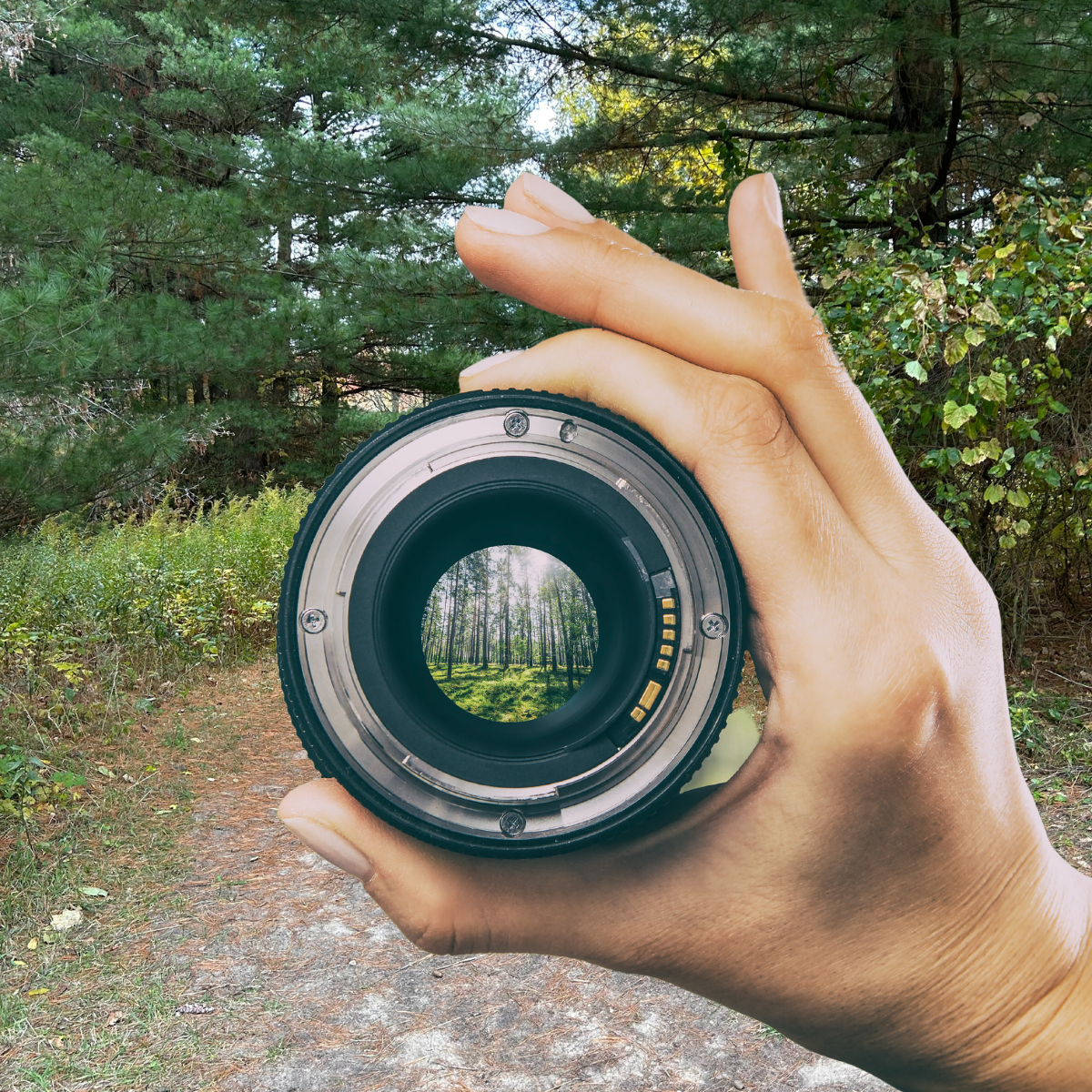 Foundations of Employee Motivation A Shared Vision