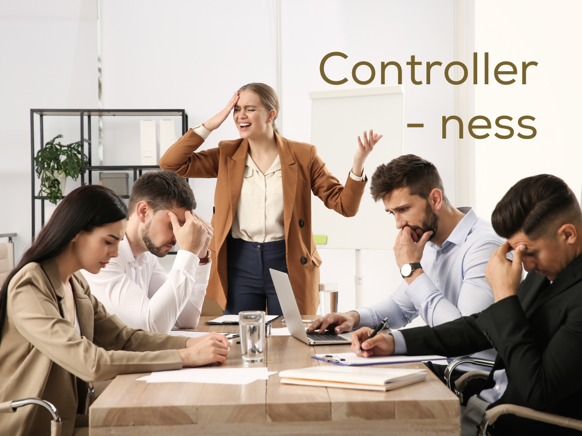 Navigating Leadership as a Controller A Cautionary Tale